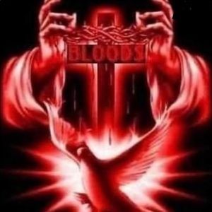 Meet your Posher, Bryce